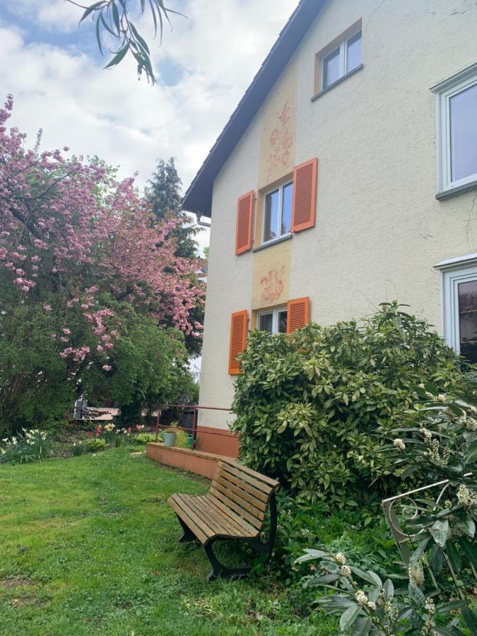 Apartament Blumenblick Rielasingen-Worblingen Bagian luar foto
