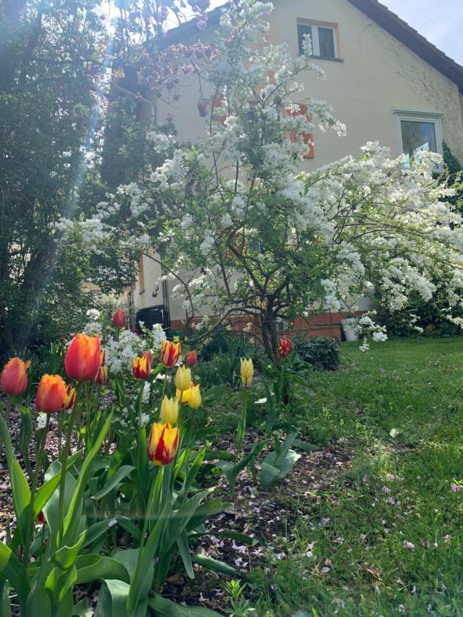 Apartament Blumenblick Rielasingen-Worblingen Bagian luar foto
