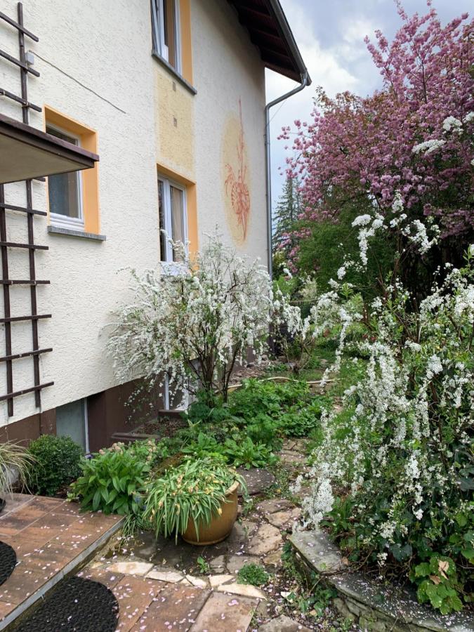 Apartament Blumenblick Rielasingen-Worblingen Bagian luar foto